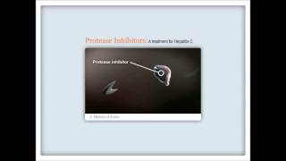 How HCV protease inhibitors work [upl. by Pasco909]