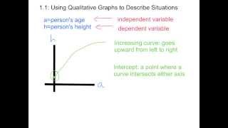 11 Using Qualitative Graphs to Describe Situations [upl. by Earehc]