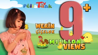 وەرین چیچەلۆک  WERÎN ÇîÇELOK  PELÍSTANK TV [upl. by Eissel]