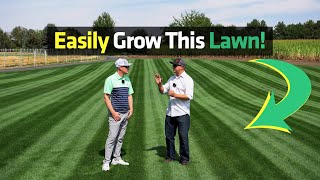 Grow A Stunning Lawn Easily With Expert Tips from MySoil [upl. by Zampardi]