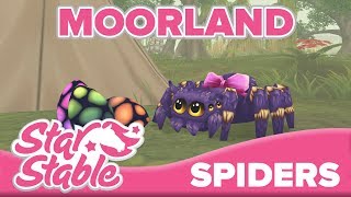 All 5 Spiders In Moorland 🕷  Star Stable Online [upl. by Yorle]