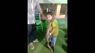 Cute Wahiba Enjoy Snake On The Parkfunnyenjoyparkanimalsvideo [upl. by Hosea]