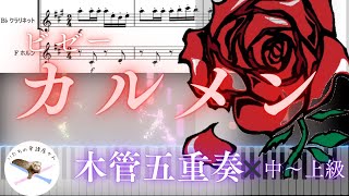 【木管五重奏楽譜】カルメンメドレー／ビゼー【編成変更可能🌷】 Carmen medley／Bizet [upl. by Sidhu]