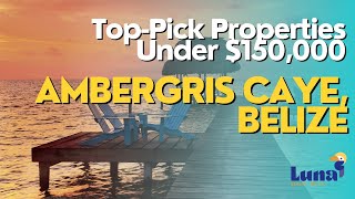 Top 5 Property Picks Under 150000 on Ambergris Caye Belize [upl. by Laehcimaj]