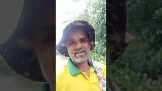 Dia de alegria youtubefazenda vidanocampofazendeiropobre gado agro [upl. by Irual352]