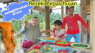 CENDAWAN TUMIS IKAN BILIS GORENG PEDAS  Rezeki lepas hujan Di kebun bedatipis [upl. by Naujal]