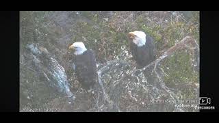 West End Bald Eagles 10132024 1402 [upl. by Pubilis479]