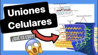 🚨🚨TIPOS de UNIONES CELULARES  5 que NO CONOCES [upl. by Kenweigh785]