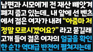 신청사연 남편과 시모에게 전 재산 빼앗겨 폐지 줍고 있는데 내 앞에 선 벤츠에서 젊은 여자가 내려 quot아줌마 저 정말 모르시겠어요quot 신청사연사이다썰사연라디오 [upl. by Goulet]