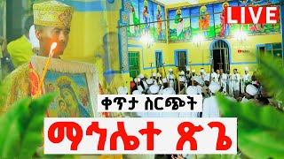 🔴LIVE የዛሬውይለያል ‼️👉🏾ተጀመረ‼️ማኅሌተ ጽጌ✝️ከባሕር ዳር ቅዱስ ጊዮርጊስ ካቴደራል [upl. by Noxaj]