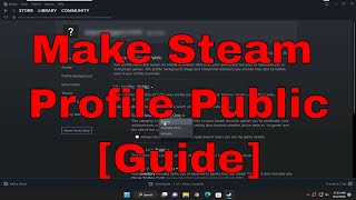 How to Make Your Steam Profile Public Guide [upl. by Sixela]