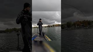 CAST to CATCH Walleye livescope walleye shorts [upl. by Aztirak]