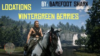 Wintergreen Berries Locations for Daily Challenge RDR2 Online [upl. by Pacificas]