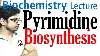 Pyrimidine biosynthesis [upl. by Ymmik570]