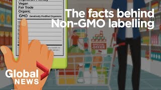 GMO foods Why its meaningless to label geneticallymodified organisms [upl. by Swayne387]