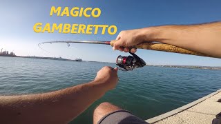 Pesca allInglese con il Gamberetto Vivo  Pieghe e Sfrizionate da Paura [upl. by Nickolas859]