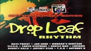 Intrumental Drop Leaf Riddim [upl. by Elletsyrc]