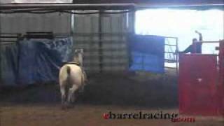 horse doing barrel racing riderless [upl. by Honig195]