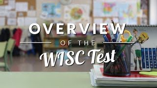 WISC Test Overview  TestingMomcom [upl. by Cirtemed]