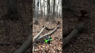 Greenworks 40 V Chainsaw 16” Bar Quick Review amp Demo [upl. by Wetzel]