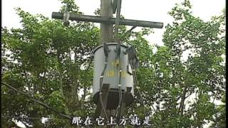 電磁世界｜致癌的嫌疑犯 我們的島 第193集 20030127 [upl. by Gadmon]