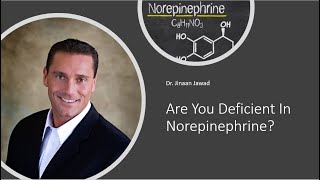 Are You Deficient In Norepinephrine [upl. by Enyedy]