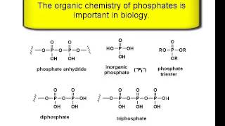 Chemistry Vignettes Phosphate functional groups [upl. by Barger]