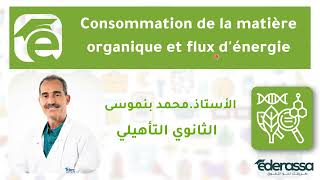 Introduction à létude de la consommation de la matière organique et flux dénergie [upl. by Roots]