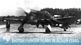 British RAF Hawker Tempest Fighter Plane in Action 1944  British Pathé [upl. by Gerome345]