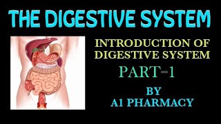 Anatomy and physiology of digestive system 1 [upl. by Ppik]