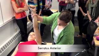 Manual Muscle Test for Serratus Anterior [upl. by Atinele703]