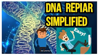 DNA Repair mechanism quick and easy in UrduHindi [upl. by Mcgill]