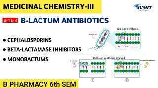 Cephalosporin BetaLactamase Inhibitors Monobactums  Unit1 Medicinal Chemistry III 6th sem [upl. by Yrmac]