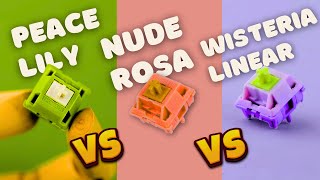 EPOMAKER Linear Switch Acoustic tests Peace Lily vs Nude Rosa vs Wisteria Linear Switches [upl. by Kaine167]