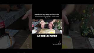 Historia de la coctelería  CÓCTEL KALIMOTXO cocteles vino cola [upl. by Nussbaum]