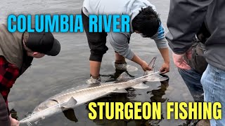 Sturgeon Fishing the Columbia River for keepers [upl. by Nnylirehs51]