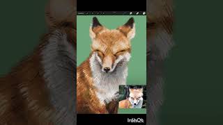 Speedpaint Photo study painting of a fox art drawing animals [upl. by Sells]