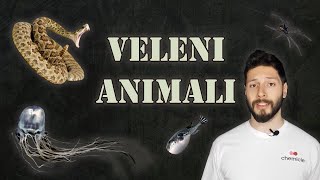 La CHIMICA dei VELENI ANIMALI [upl. by Dry]