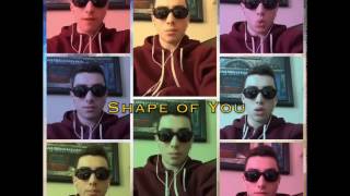 Shape of You  Ed Sheeran Acapella Cover [upl. by Marva]