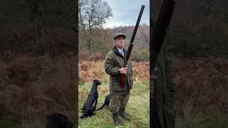 Driven Shooting with Labrador Retriever peg dogs One from last season gundogtraining shooting [upl. by Namar105]