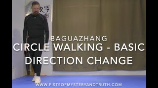 Bagua Circle  Basic Direction Change [upl. by Enineg]