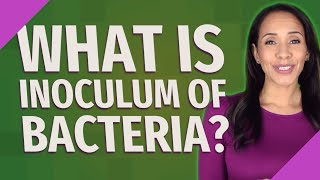 What is inoculum of bacteria [upl. by Imij]