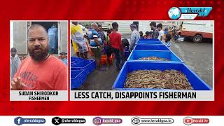 Meagre catch of solar shrimp disappoint Colva fishermen [upl. by Anaujnas438]