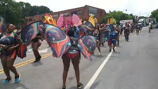 Its Carnival BDC highlights [upl. by Kal]