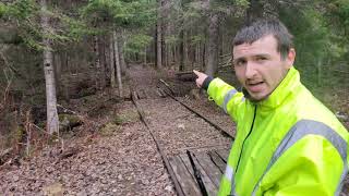 Massive Railroad 1500 Trestle Deep In The Forest Of Maine 90 Yrs Abandoned [upl. by Manvel]