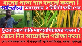 আউশ ও আমন মৌসুমে ধানের প্রধান রোগ টুংরো ভাইরাস দমনে 4G সমাধান ।। How To Control Rice Tungro Disease [upl. by Yeloc341]