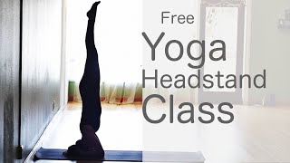 50 Minute Yoga Flow Vinyasa How to do a headstand  Fightmaster Yoga Videos [upl. by Barbuto73]