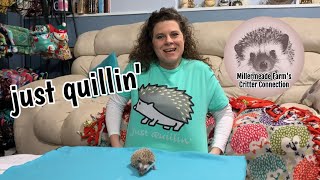 The Process of Quilling  Reasons for New Quill Growth  Time frame of Hedgehog Quilling [upl. by Adnawt591]