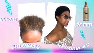 Coloring my 4C Hair Black using Clairol Grey Solution Rinse 4chair [upl. by Manley]