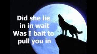 She Wolf David Guetta feat Sia Lyrics [upl. by Reedy]